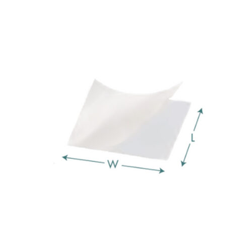Amniotic Membrane